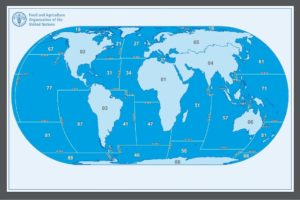 FAO World Map